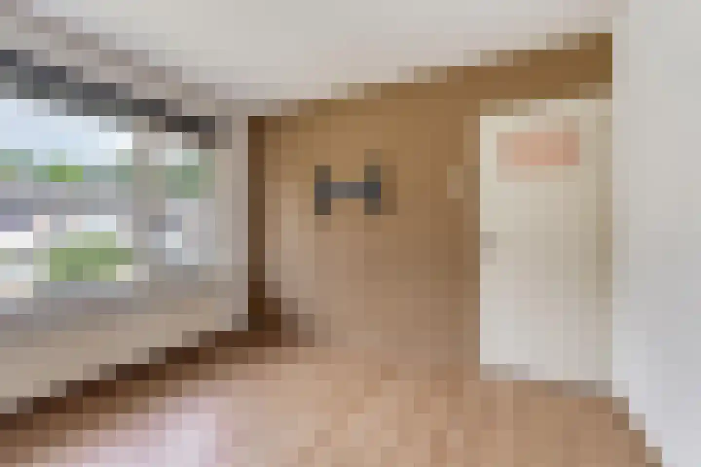 Muzenlaan 95 Eindhoven thumbnail 9