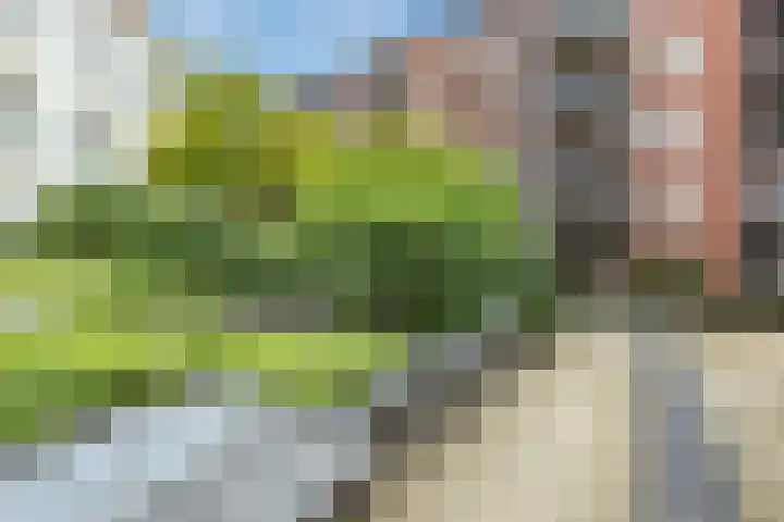 Muzenplein 14 Den Haag thumbnail 33