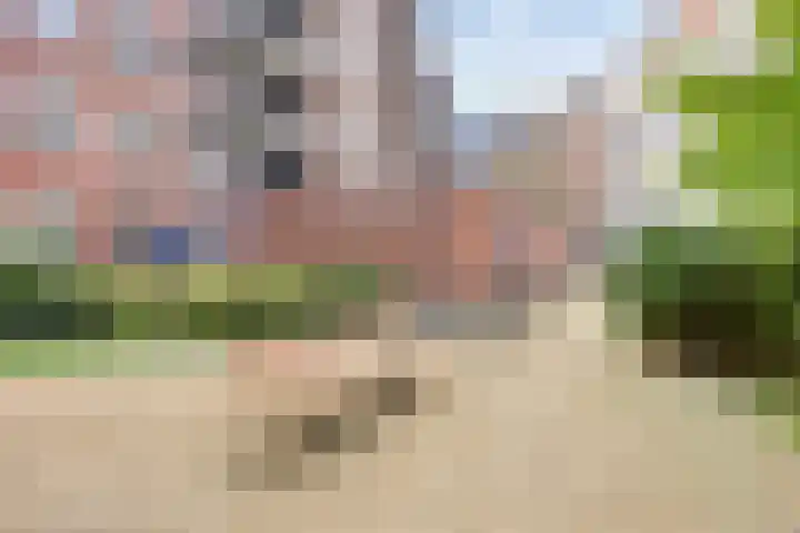 Muzenplein 45 Den Haag thumbnail 31