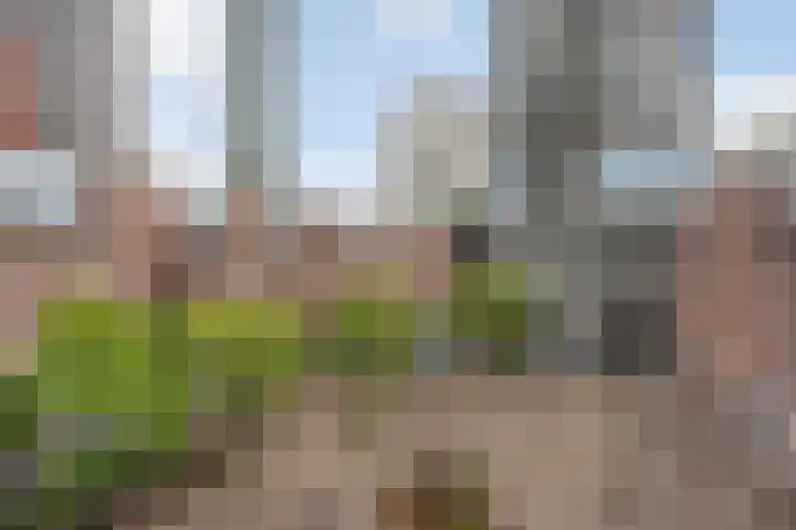Muzenplein 48 Den Haag thumbnail 47