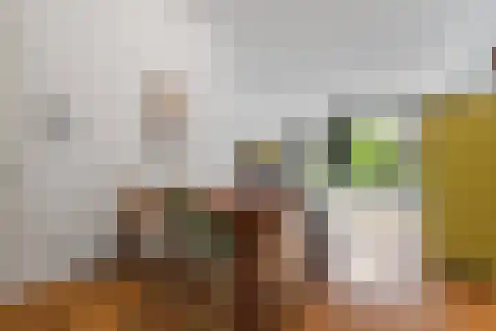 Muzenstraat 116 Den Haag thumbnail 8