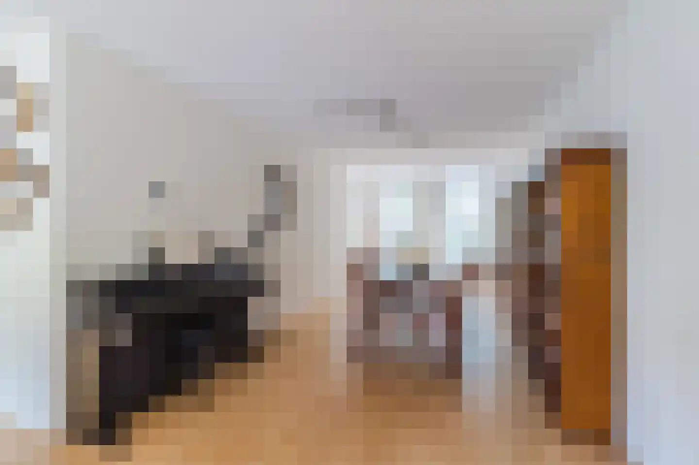 Muzenstraat 44 Den Haag thumbnail 8