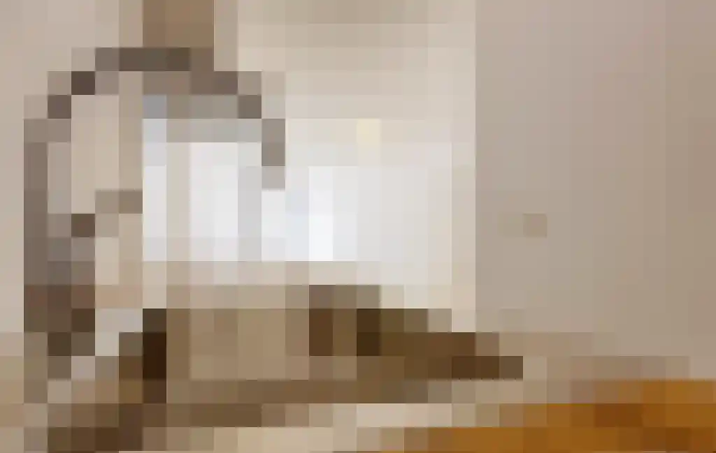 Muzenstraat 5 Den Haag thumbnail 6
