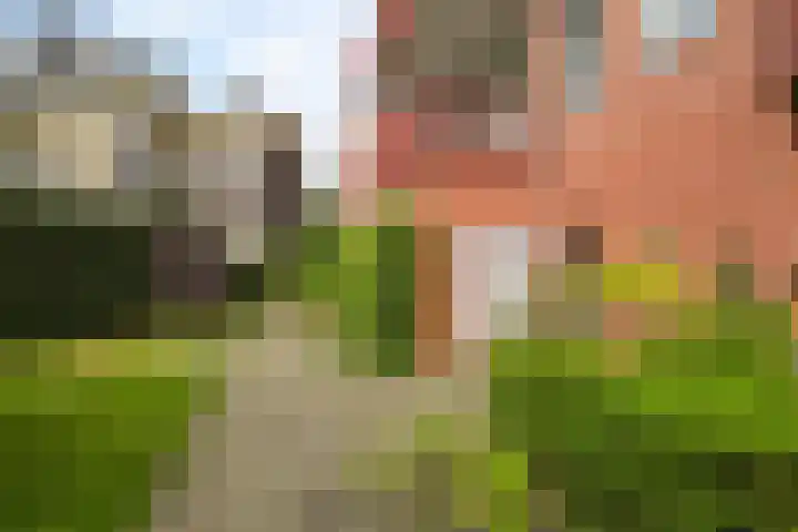 Muzenstraat 98 Den Haag thumbnail 35