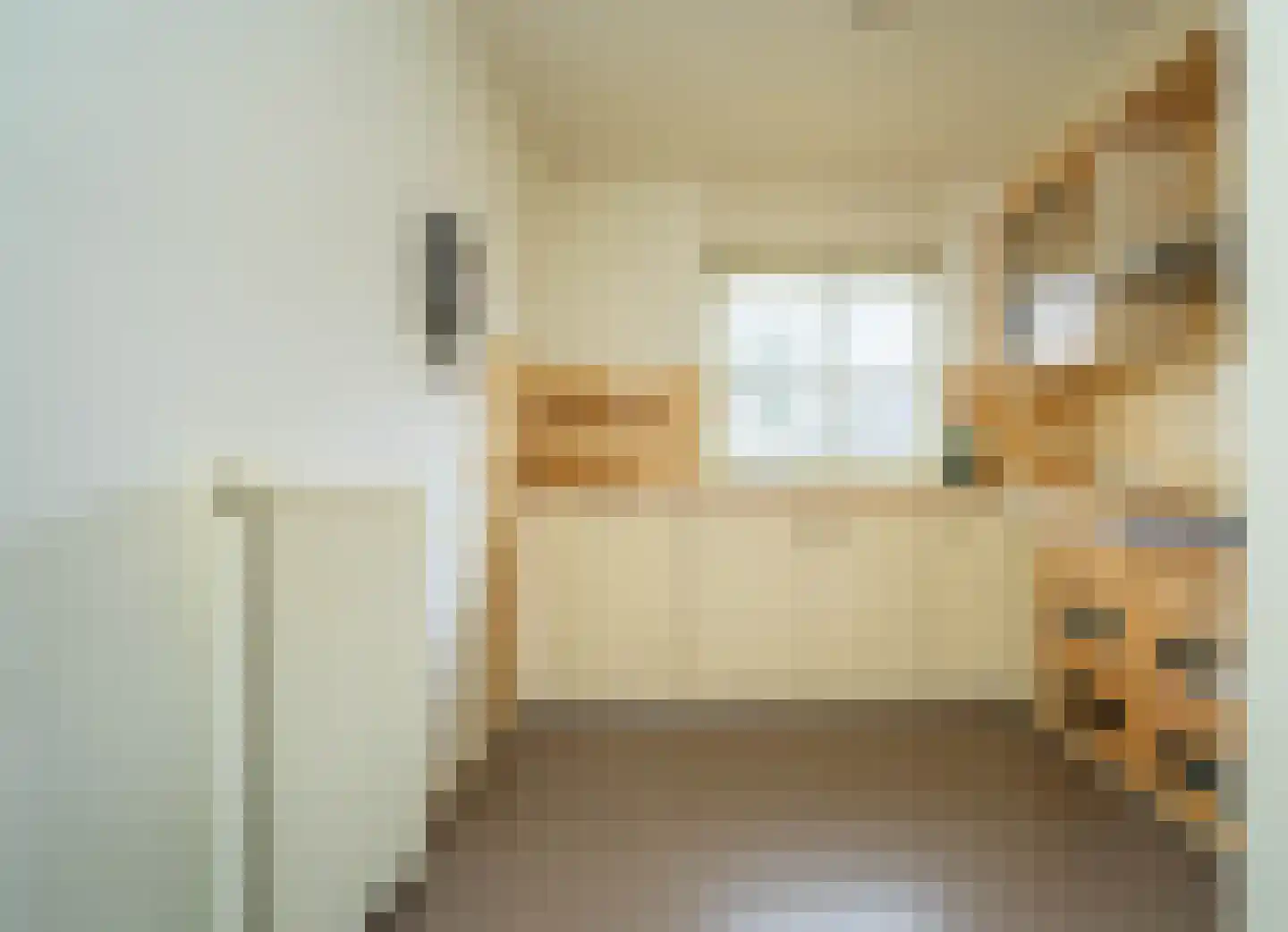 Muziekhofje 14 Bakel thumbnail 10