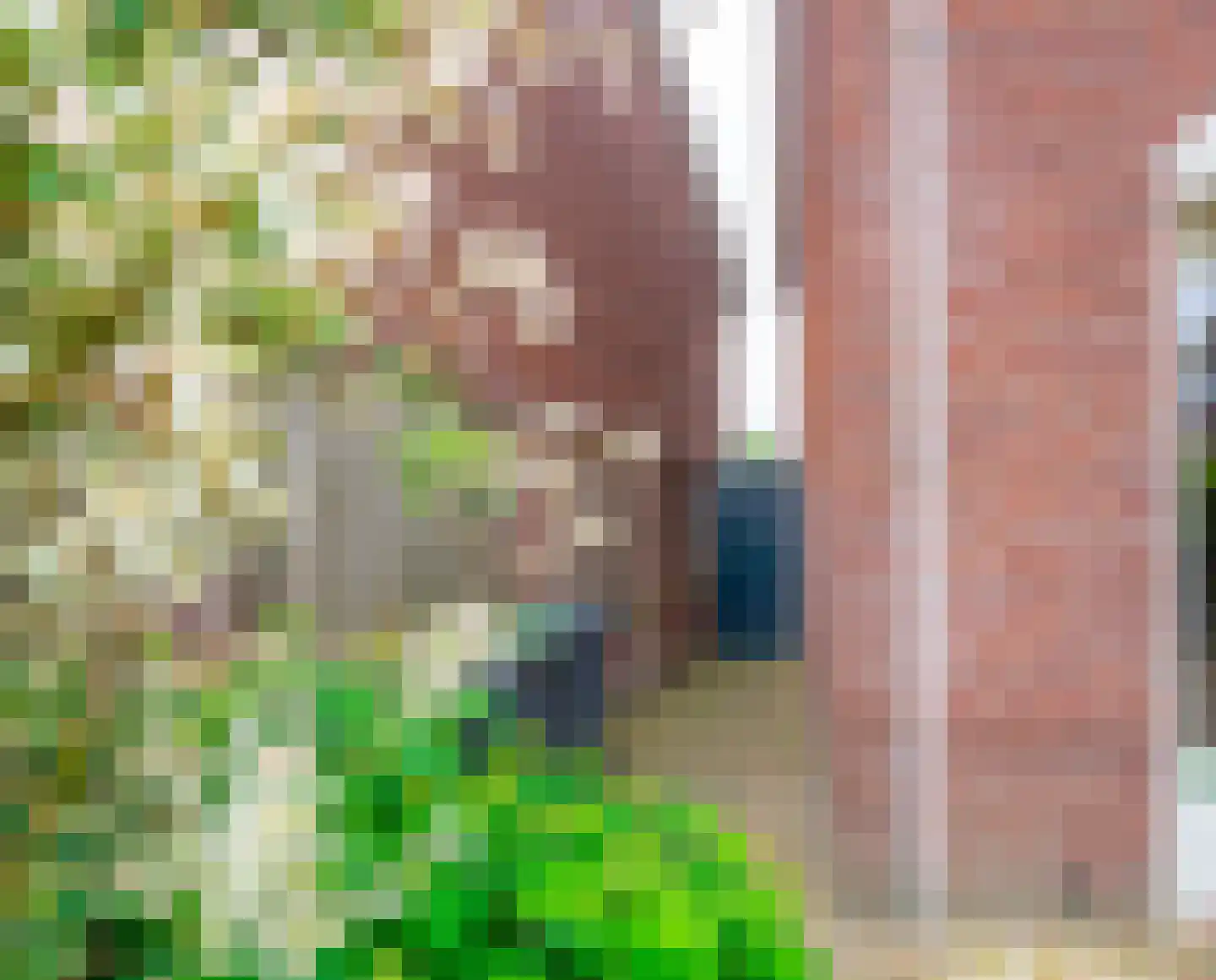 Muziekhofje 14 Bakel thumbnail 31