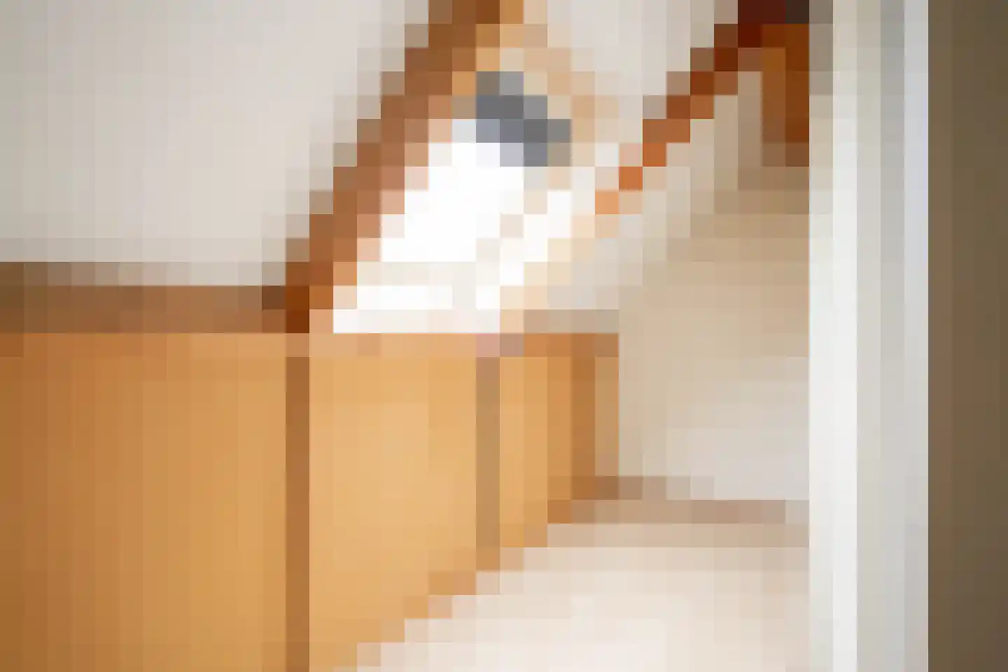 Muziekhofje 14 Bakel thumbnail 32