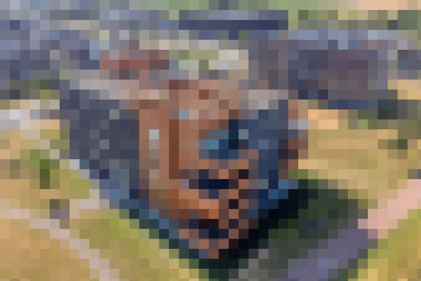 Muzieklaan 18 Oud-Beijerland thumbnail 38
