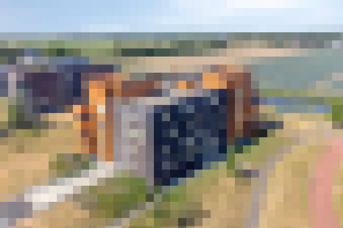 Muzieklaan 18 Oud-Beijerland thumbnail 39