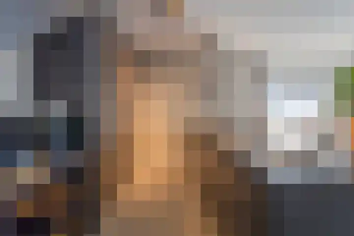 Muzieklaan 32 Oud-Beijerland thumbnail 10