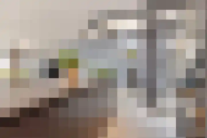 Muzieklaan 32 Oud-Beijerland thumbnail 11