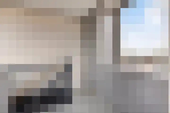 Muzieklaan 32 Oud-Beijerland thumbnail 25