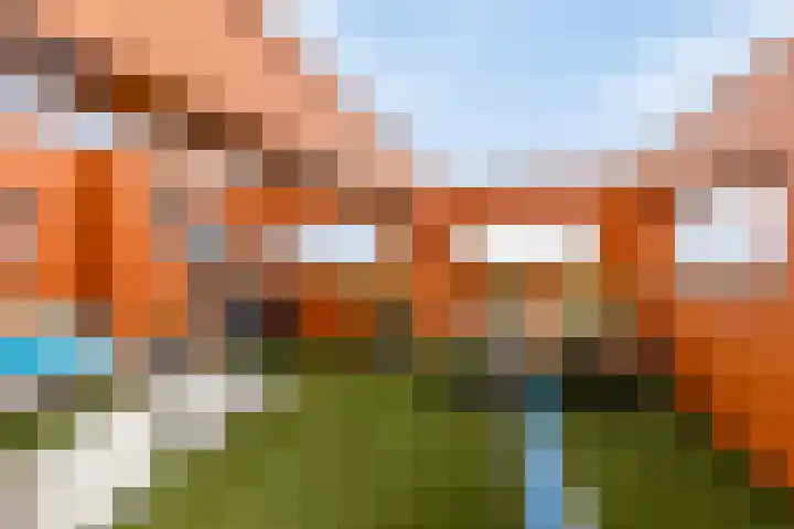Muzieklaan 32 Oud-Beijerland thumbnail 28