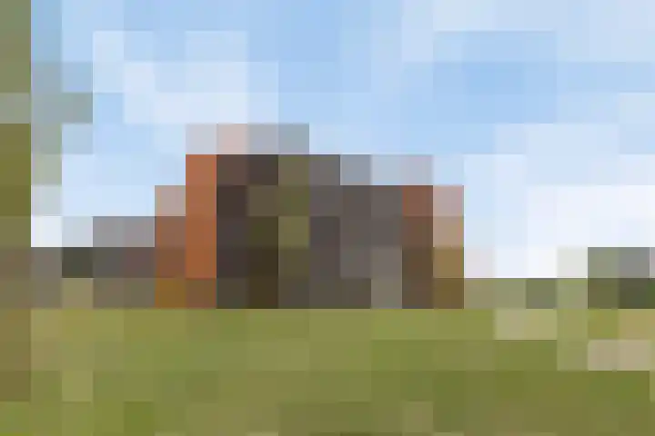 Muzieklaan 32 Oud-Beijerland thumbnail 29