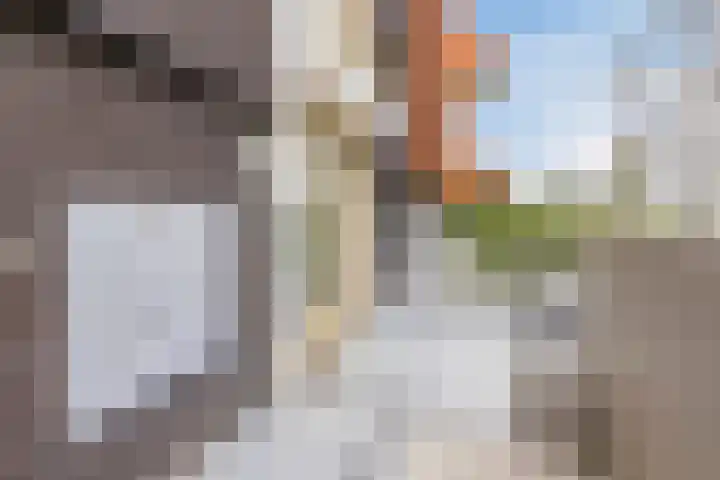 Muzieklaan 32 Oud-Beijerland thumbnail 30
