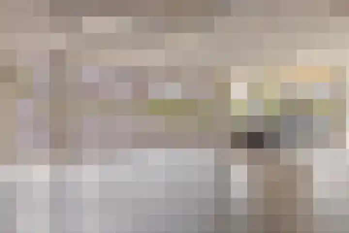 Muzieklaan 32 Oud-Beijerland thumbnail 32