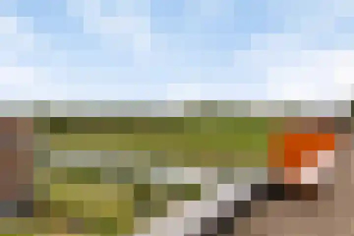 Muzieklaan 32 Oud-Beijerland thumbnail 33