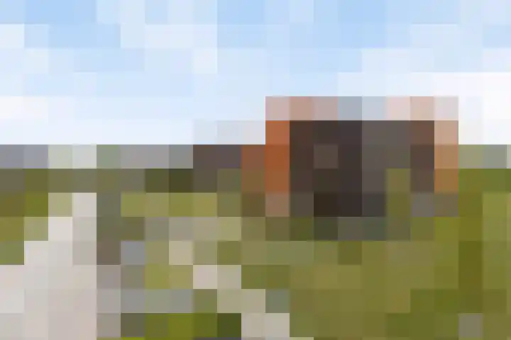 Muzieklaan 32 Oud-Beijerland thumbnail 34