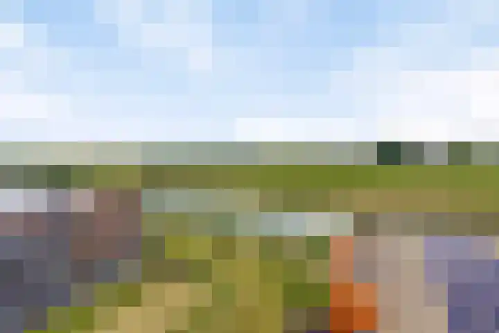 Muzieklaan 32 Oud-Beijerland thumbnail 35