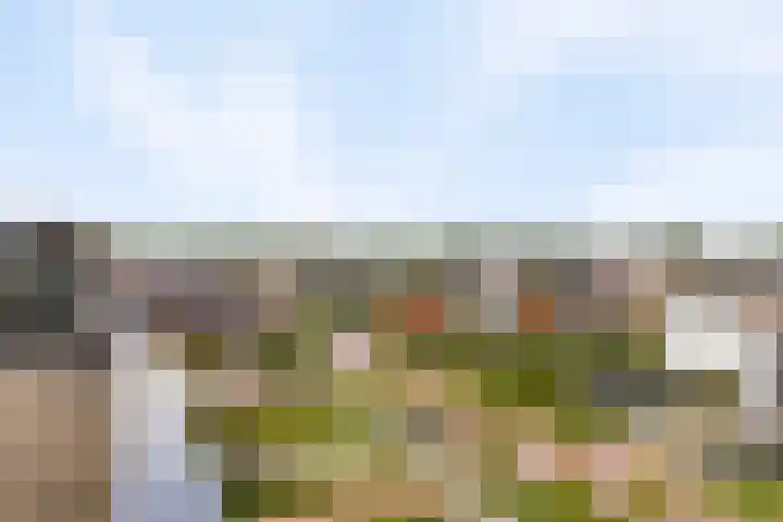 Muzieklaan 32 Oud-Beijerland thumbnail 36