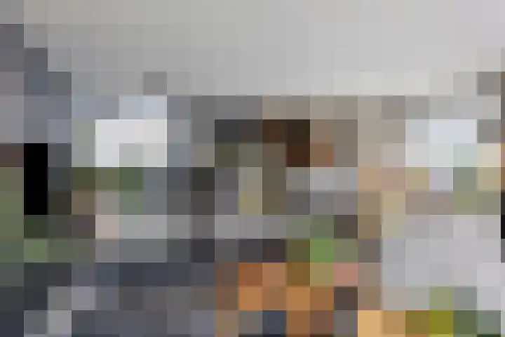 Muzieklaan 32 Oud-Beijerland thumbnail 8
