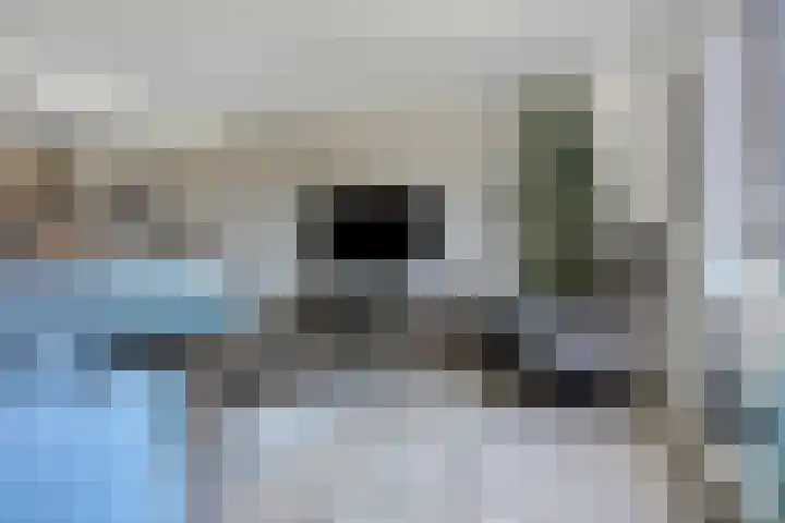 Muzieklaan 4 Oud-Beijerland thumbnail 19
