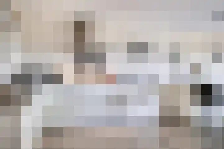 Muzieklaan 4 Oud-Beijerland thumbnail 21