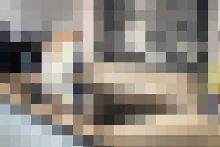 Muzieklaan 4 Oud-Beijerland thumbnail 24
