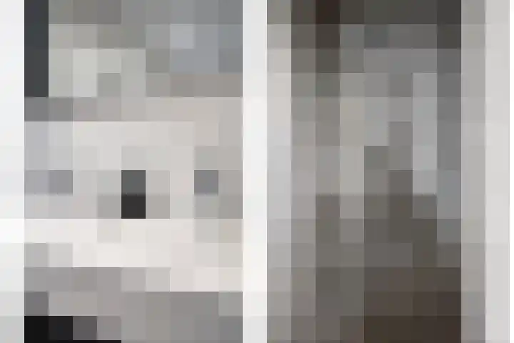 Muzieklaan 4 Oud-Beijerland thumbnail 33