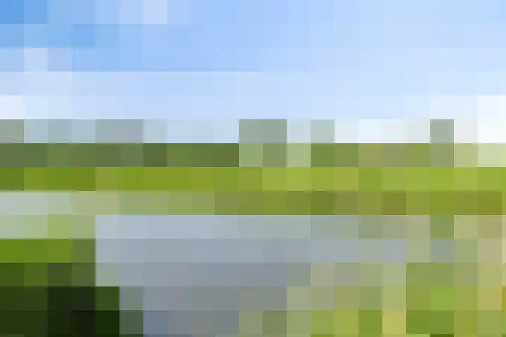 Muzieklaan 4 Oud-Beijerland thumbnail 39