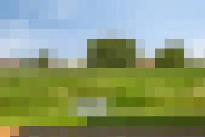 Muzieklaan 4 Oud-Beijerland thumbnail 40