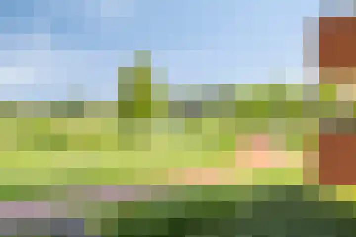 Muzieklaan 4 Oud-Beijerland thumbnail 41