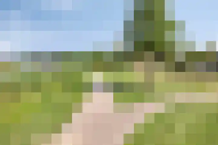 Muzieklaan 4 Oud-Beijerland thumbnail 42