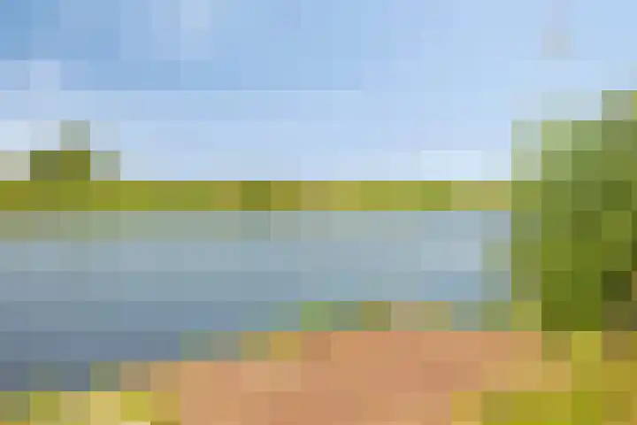 Muzieklaan 4 Oud-Beijerland thumbnail 43