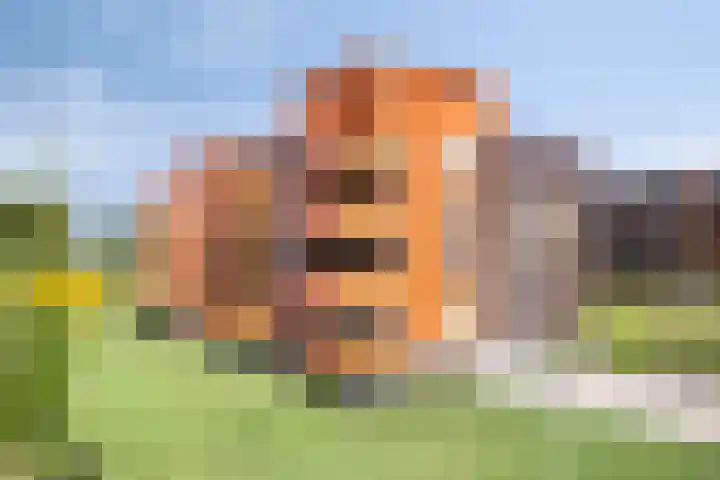 Muzieklaan 4 Oud-Beijerland thumbnail 47