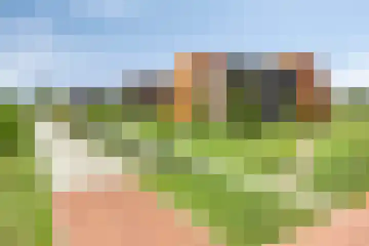 Muzieklaan 4 Oud-Beijerland thumbnail 5
