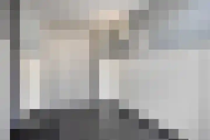 Muzieklaan 4 Oud-Beijerland thumbnail 8