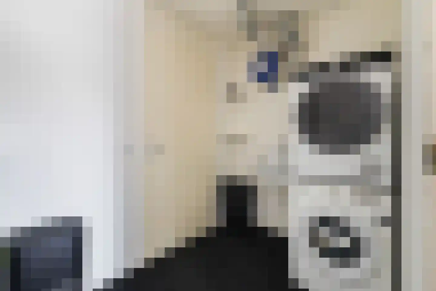 Muzieklaan 41 Oud-Beijerland thumbnail 31