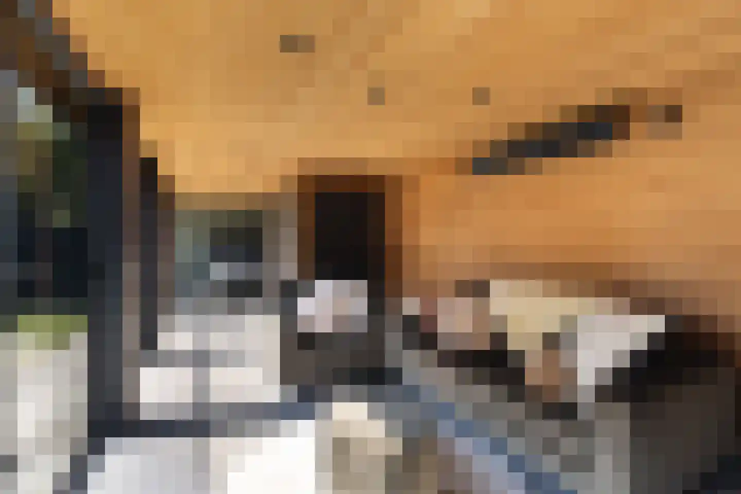 Muzieklaan 41 Oud-Beijerland thumbnail 42