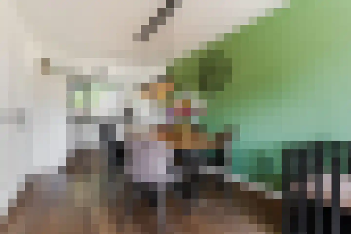 Muziekplein 108 Uden thumbnail 13