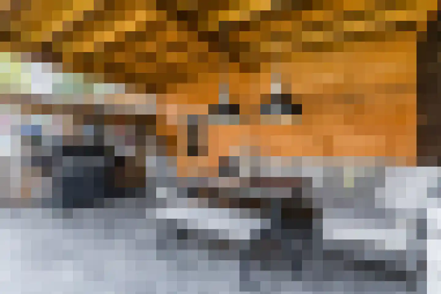 Muziekplein 108 Uden thumbnail 45