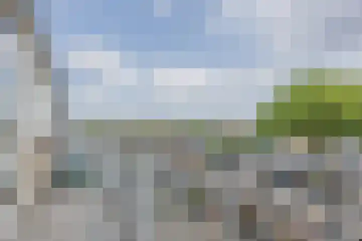 Muziekplein 25 Uden thumbnail 99