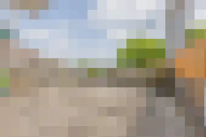 Muziekplein 25 Uden thumbnail 102
