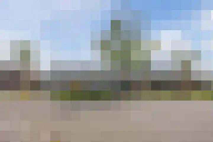 Muziekplein 25 Uden thumbnail 106