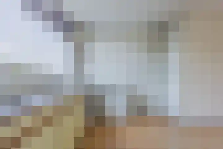 Muziekplein 25 Uden thumbnail 14