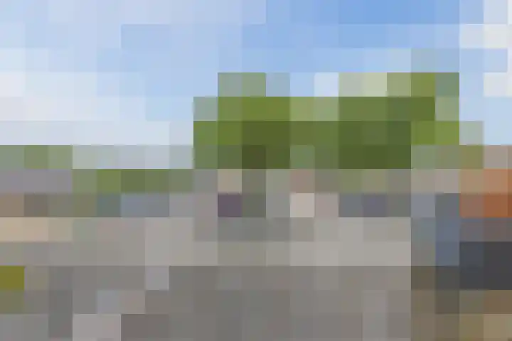 Muziekplein 25 Uden thumbnail 29