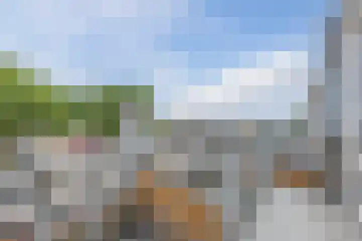 Muziekplein 25 Uden thumbnail 30