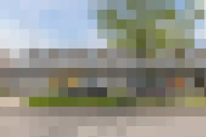 Muziekplein 25 Uden thumbnail 34