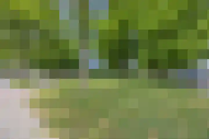 Muziekplein 25 Uden thumbnail 36