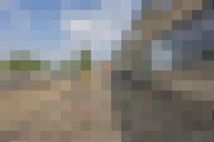 Muziekplein 25 Uden thumbnail 38